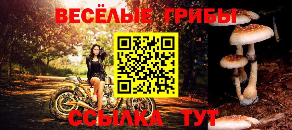 Галлюциногенные грибы ЛСД Красноярск