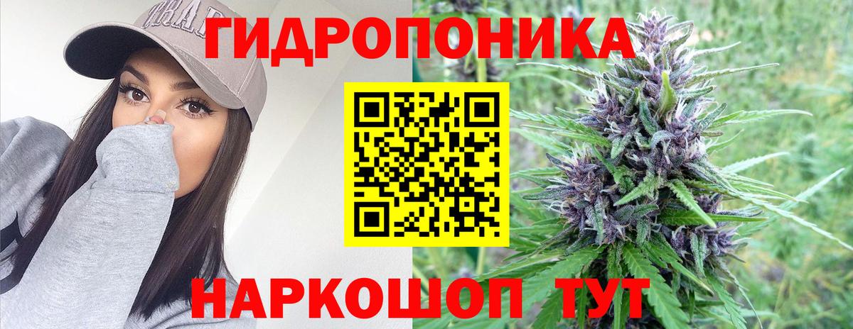 Марихуана Amnesia  Марихуана THC 21%  Шишки марихуана марихуана  Вход с VPN  Красноярск 